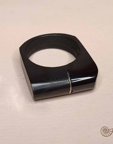 Кольцо из гагата